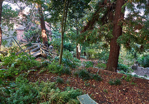 filbert steps san francisco filbert steps san francisco